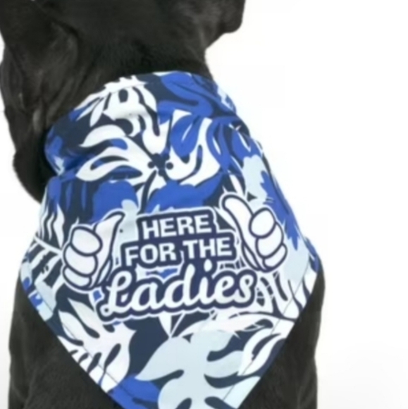 ❤️10/$20 New Blue and White Dog Bandana Here For The Ladies - Picture 1 of 4